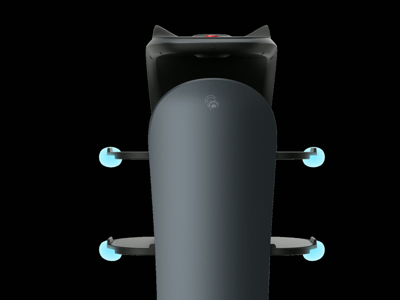 Rear controls