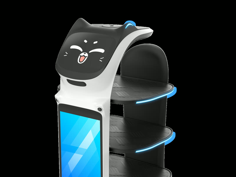 Voice interaction