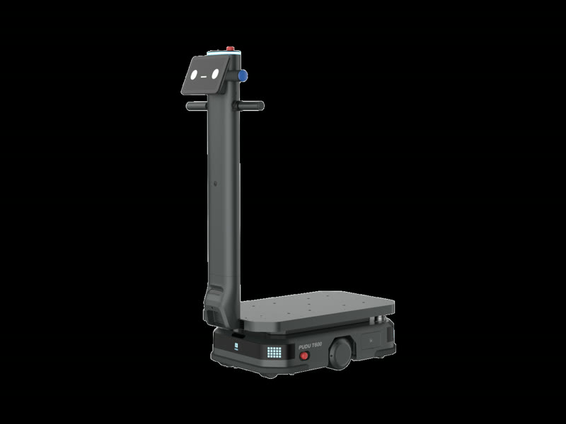 T600-Lift, mast raised
